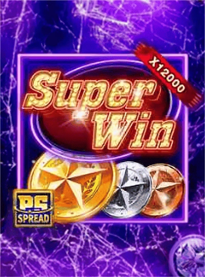 dp333