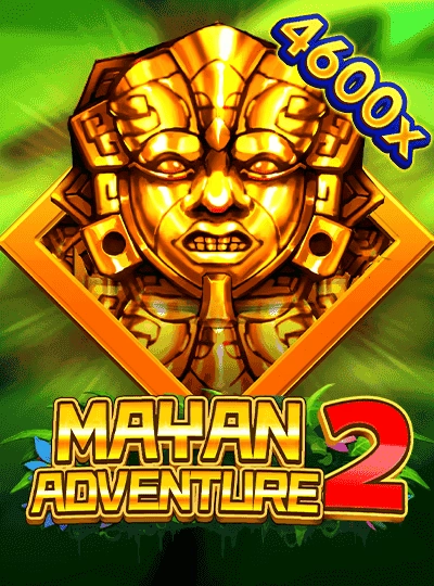 dp333